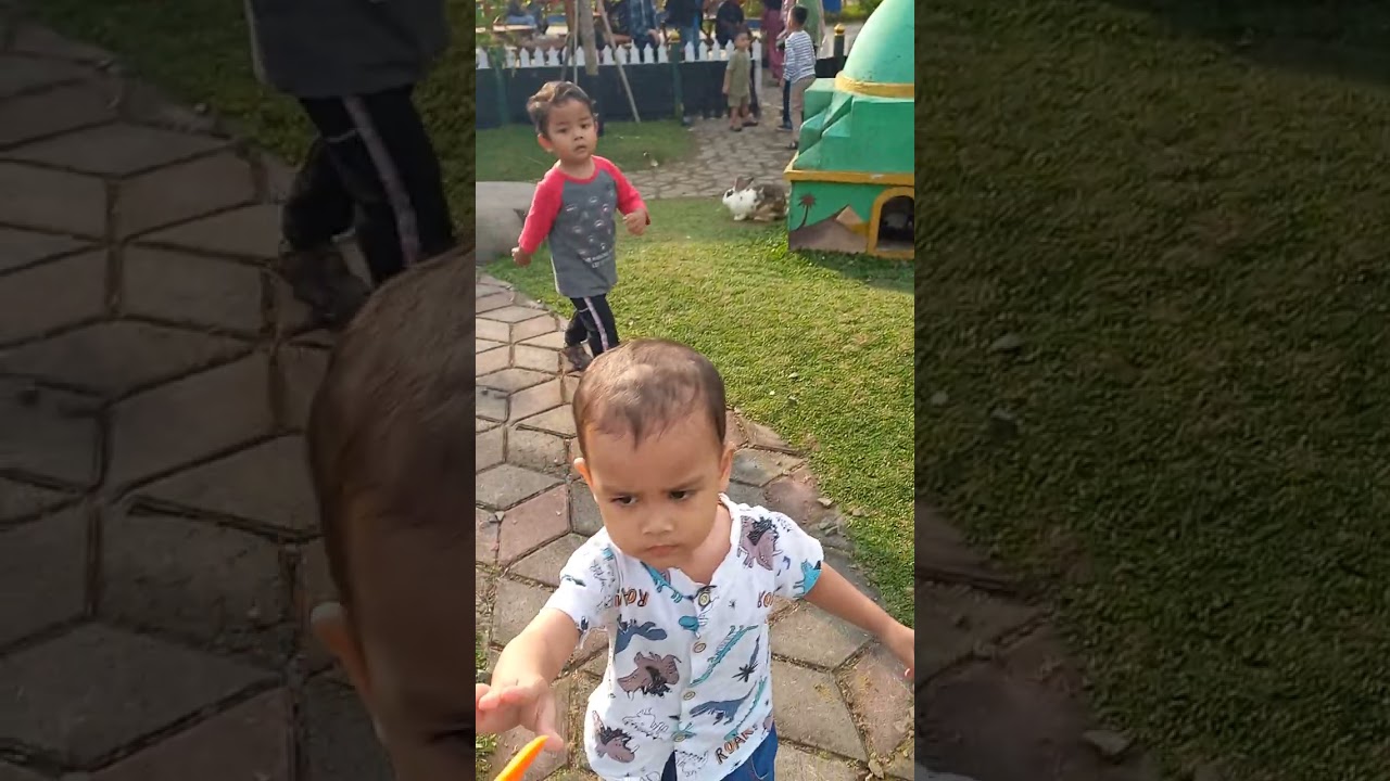 Main dengan kelinci lucu
