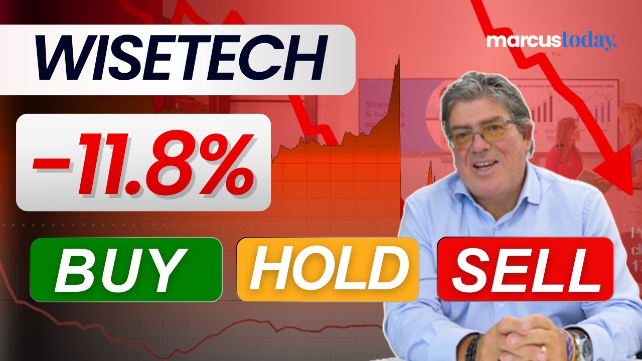 Is WiseTech's Massive Drop... A Massive Opportunity?