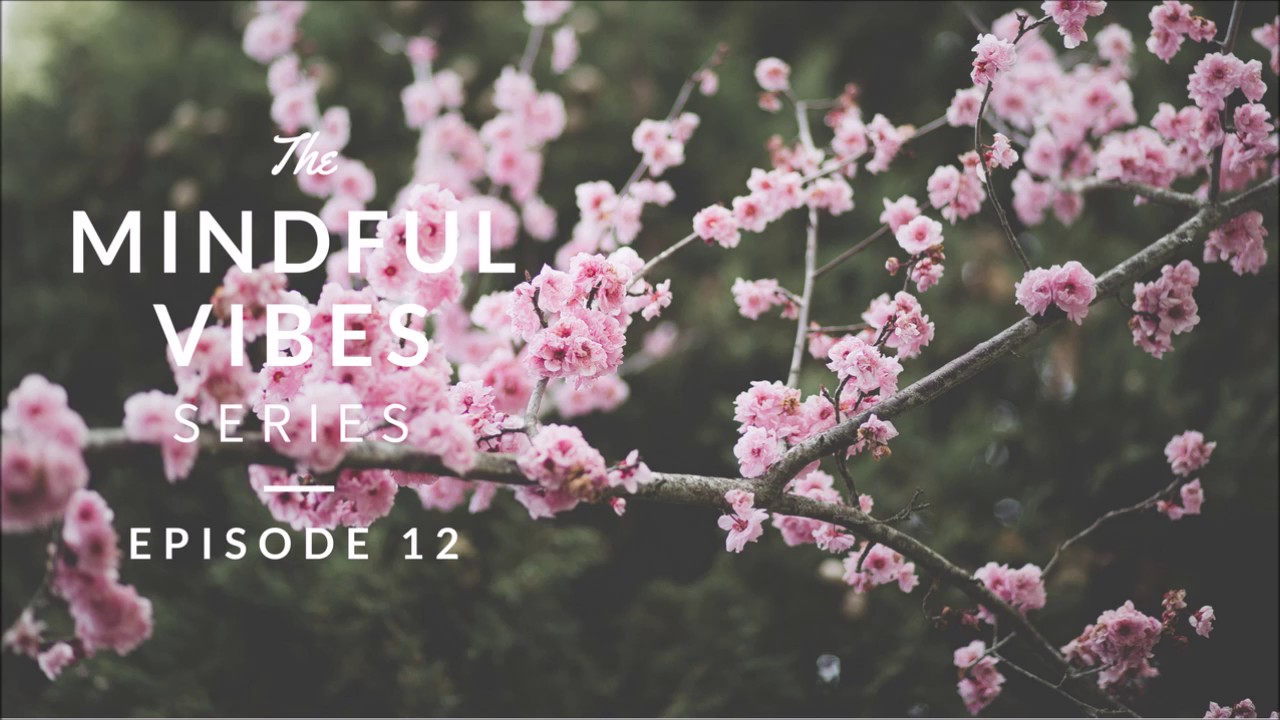 Mindful Vibes - Episode 12 (Jazz Hop Mix) [HD]