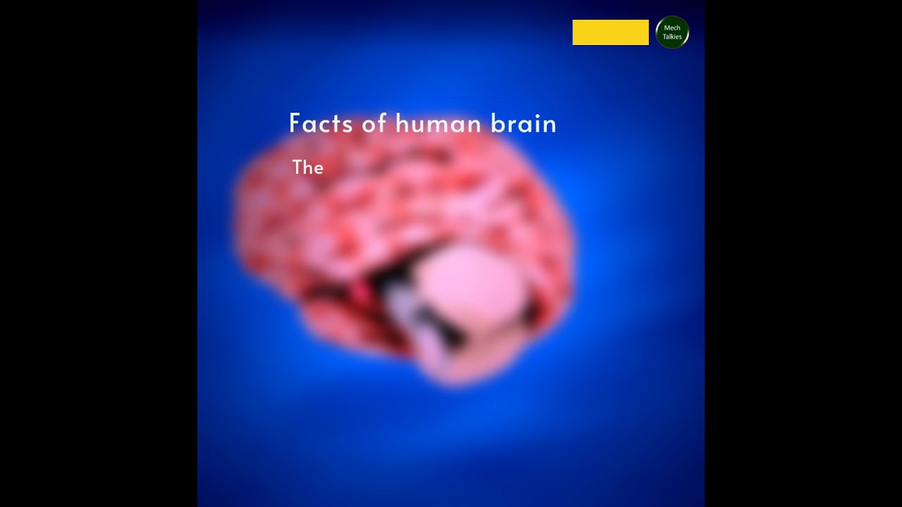 Facts of our human brain 
