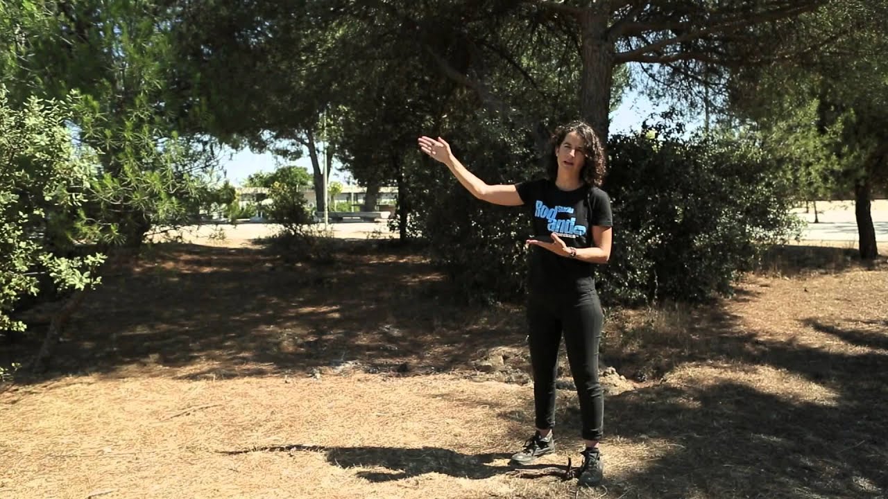 Cap 9: Iluminación en exteriores (parte 2)
