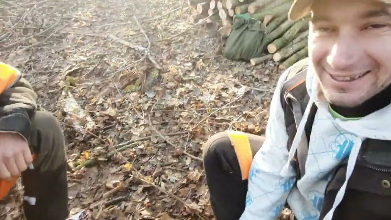 Galljazás Jogsival 1 0