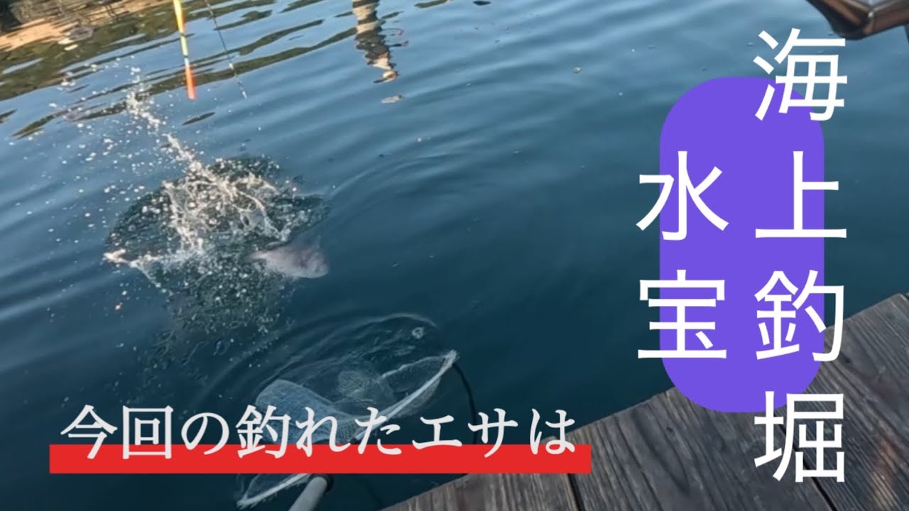 【海上釣堀】海上釣堀水宝に