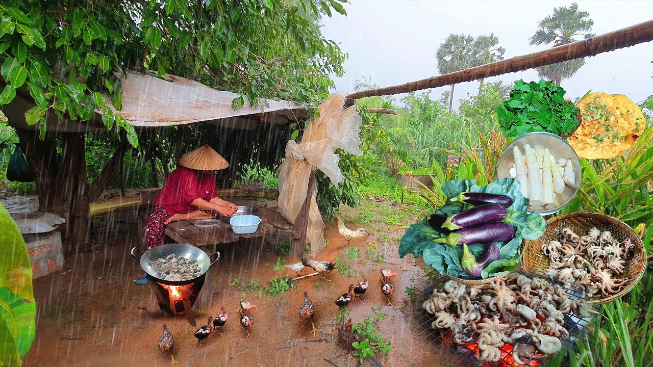 [ VIDEO COMPILATION ] Beautiful Rainy Day , Village cooking, Harvesting | Countryside vlog