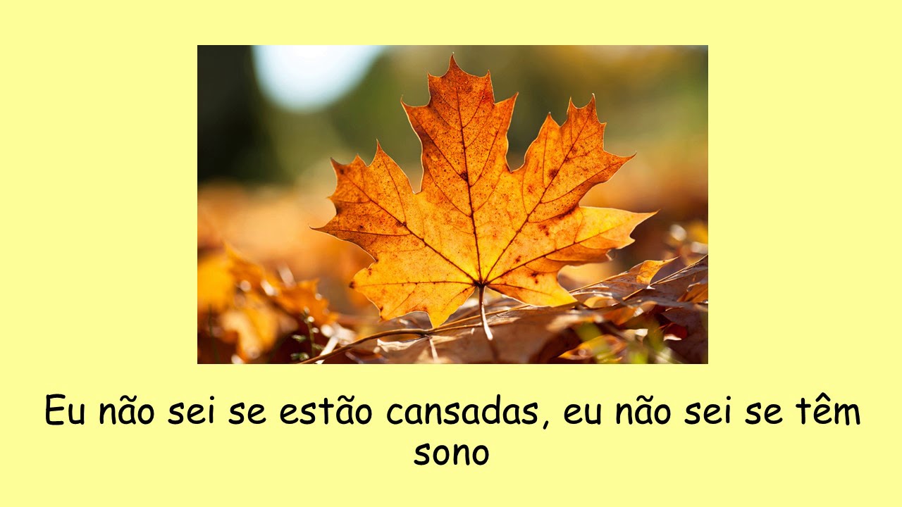 A folhinha do outono