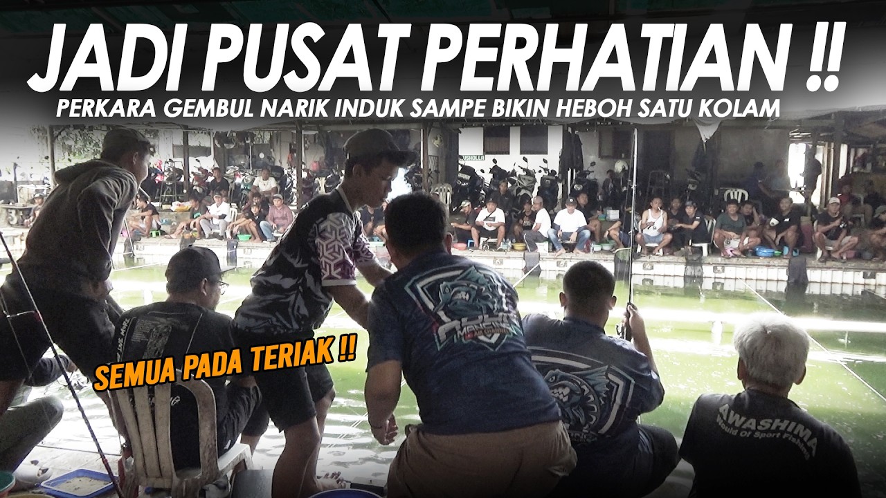NARIK BABON BESAR !! GEMBUL LANGSUNG JADI PUSAT PERHATIAN SATU EMPANG || Am#704