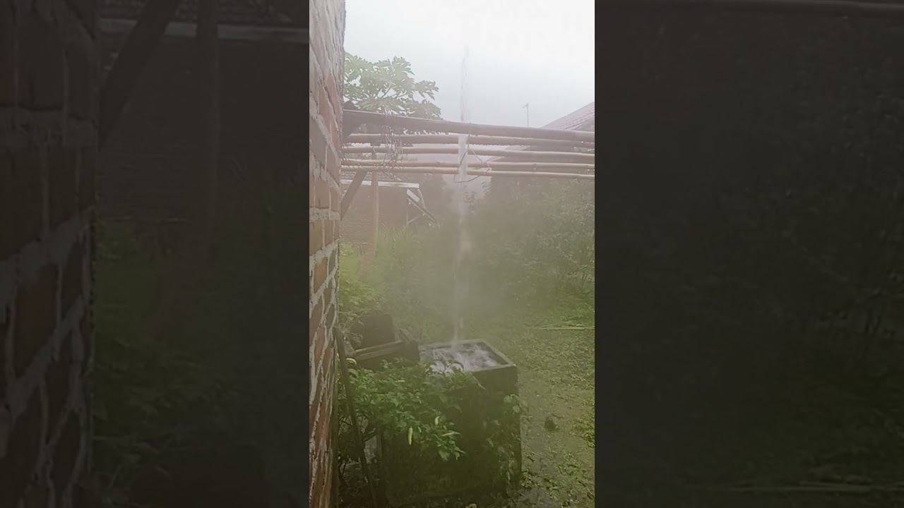 Enchanting you to sleep with nature heavy rain sound🥱🥱 #relaxsound  #baccktonature  #