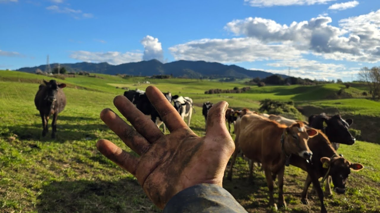 Magkano ang nagastos ko sa pag apply ng trabaho dito sa New Zealand?🇳🇿
