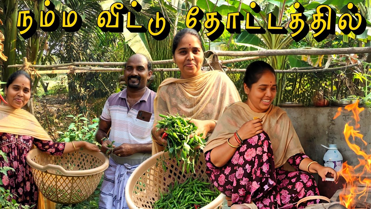 💁‍♀️நம்ம வீட்டு தோட்டத்தில் இந்த வருடம் நல்லா வந்துடுச்சி🤩🗓️feb28,2026 #home#vlog#tamil