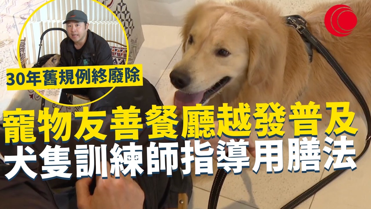 一線搜查｜寵物友善餐廳越發普及 30年舊規例終於廢除 寵物經濟第一步 犬隻訓練師 指導正確用膳方法｜959集｜有線新聞 林靜莉｜#一線搜查｜HOYTV 77台 #HOYTV #開電視 ＃HOY