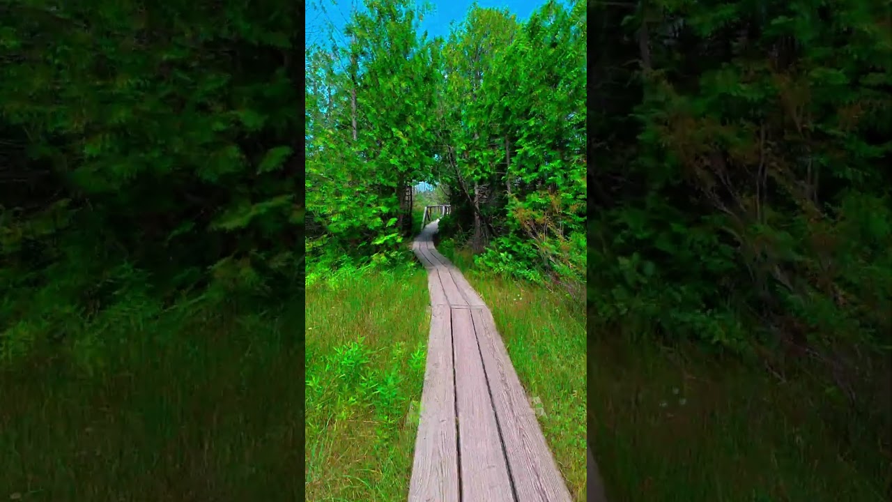 Duncan Bay Nature Preserve Cheboygan Michigan #Michigan