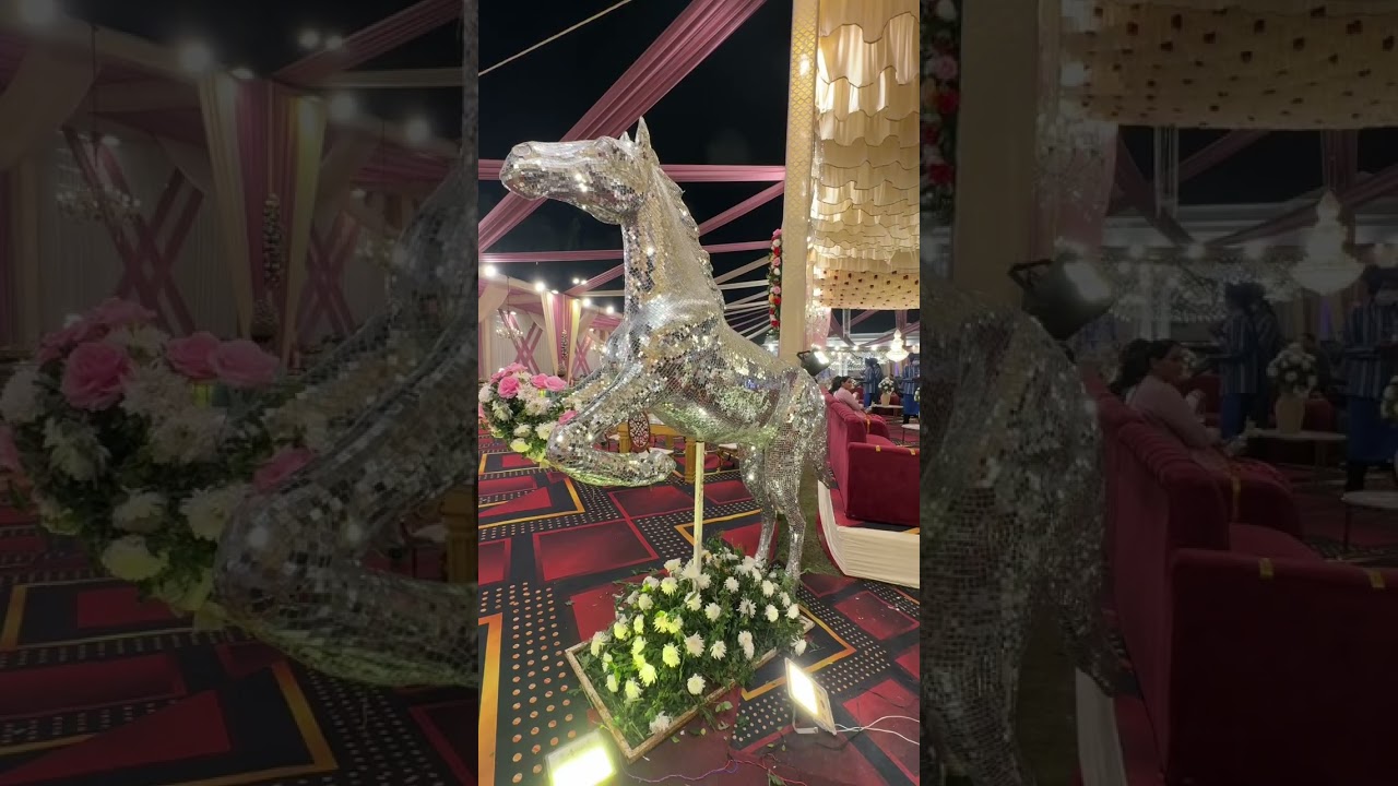 Vintage greens banquet hall  #marriagecentre #haldwani #devbhoomiuttarakhand #partytime #familyvlog 