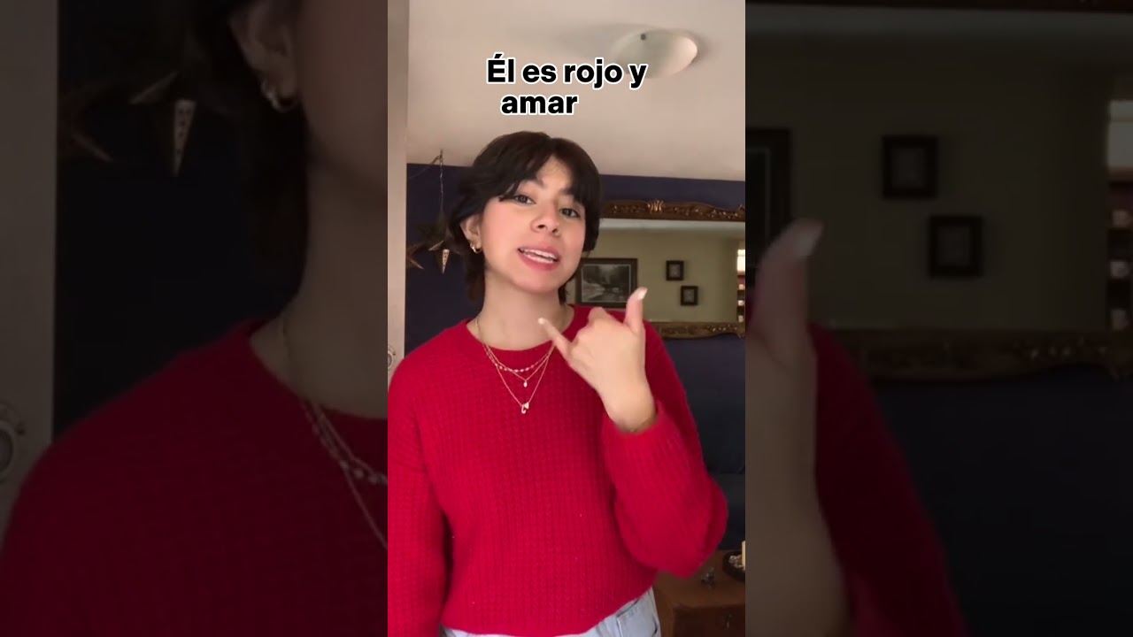 Español Signado VS Lengua de Señas Mexicana 
