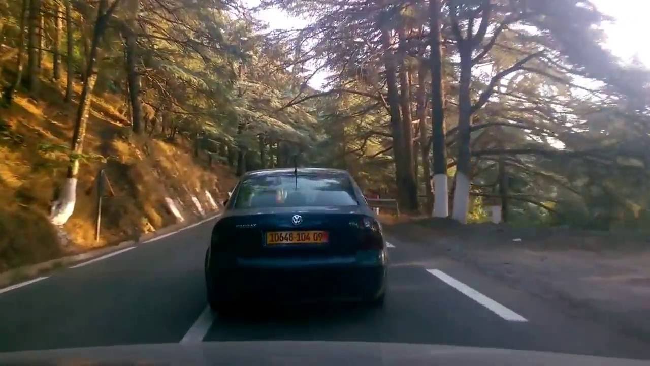 la route qui mene au sommet de la montagne CHREA-BLIDA-ALGERIE