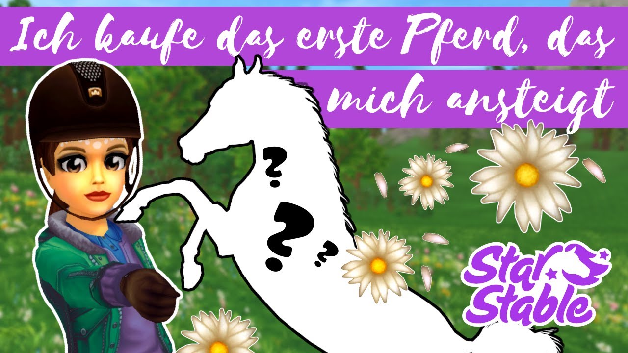 Ich kaufe das erste Pferd 🐴, das mich ansteigt! - [SSO] Star Stable Online Pferdekauf