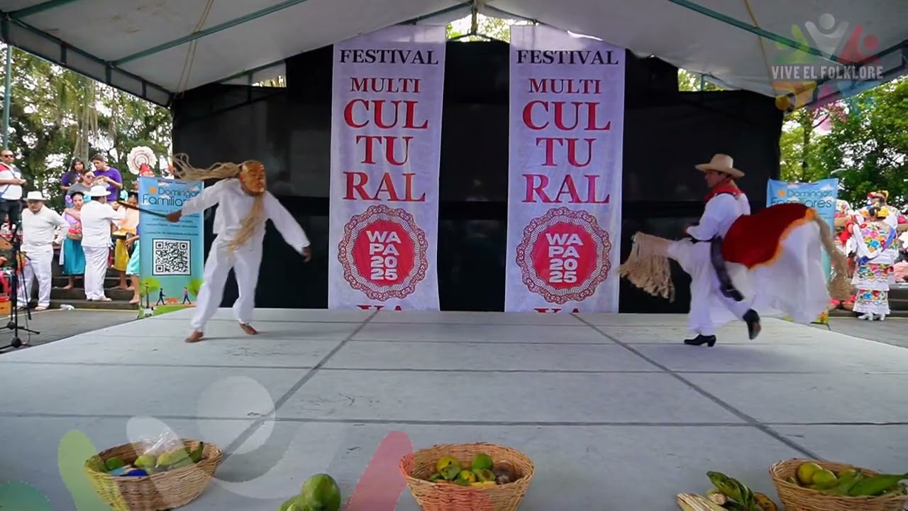 La Danza del Caballito - Tabasco