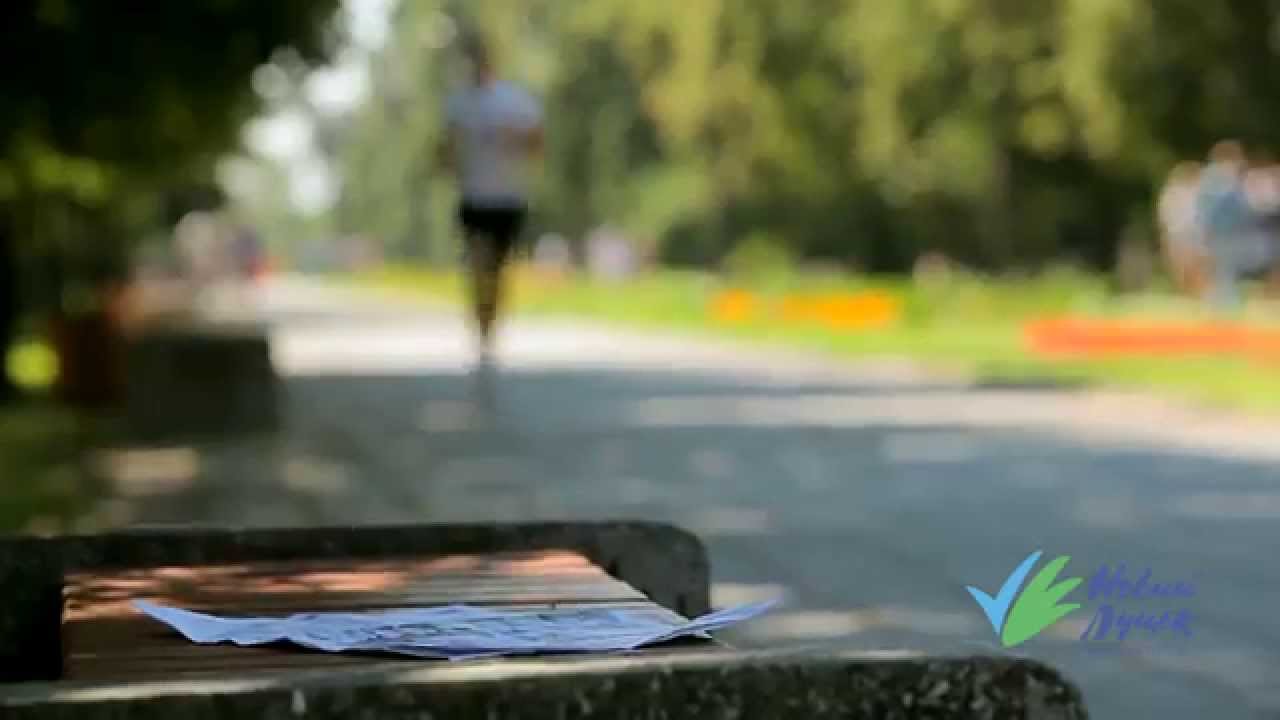 Фонд Ігоря Палиці 