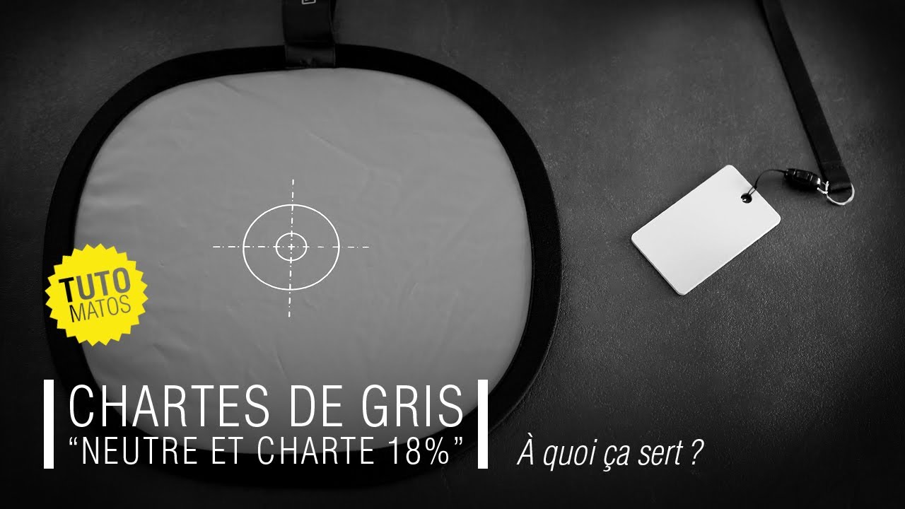 CHARTES DE GRIS 