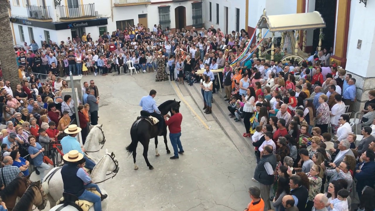 Ofrenda floral a la Pura y Limpia|Pruna 2019