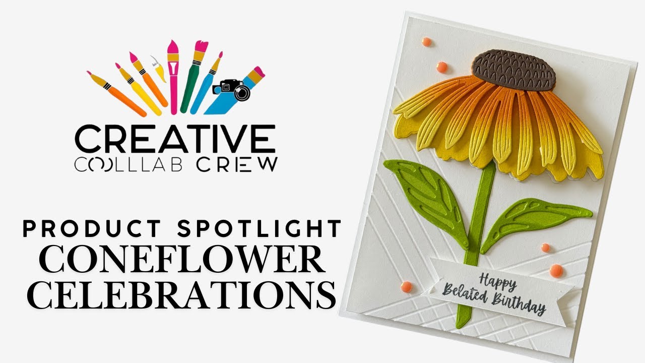 Stampin' UP! Coneflower Celebrations: June 2025 Creative Collab Crew Product Spotlight