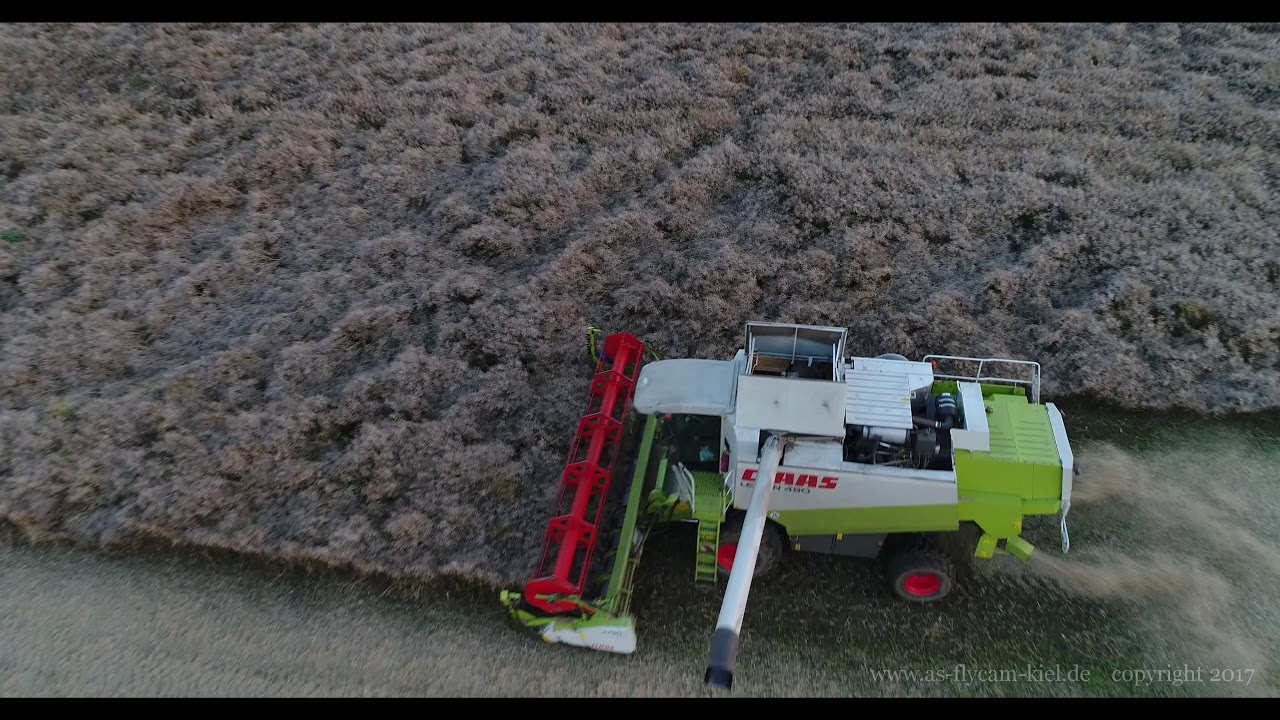 Claas Lexion 480, Raps dreschen in Ottendorf 2017