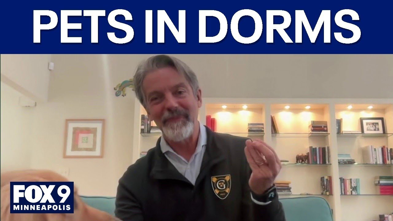 Minnesota college becomes first-ever to allow pets in dorms