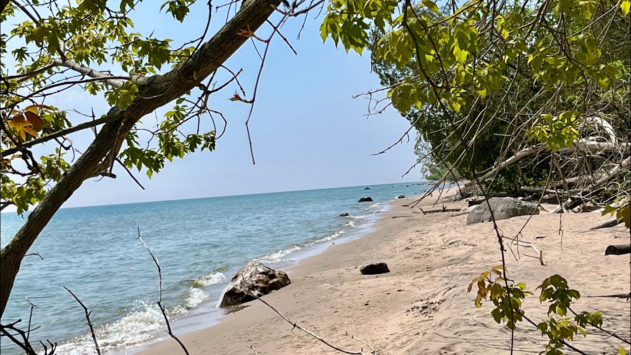 Lake Michigan Rock Hunt | Fossils and Bands!