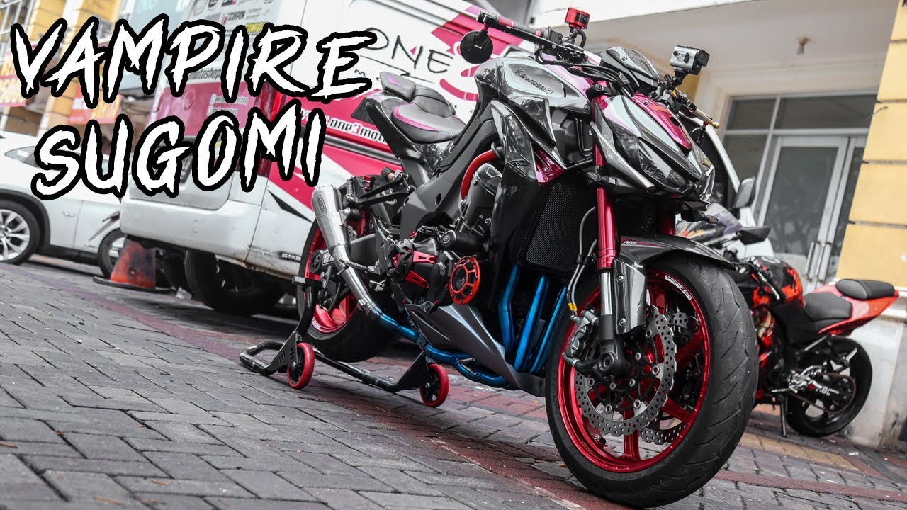 Vampire Sugomi: Kawasaki Z1000