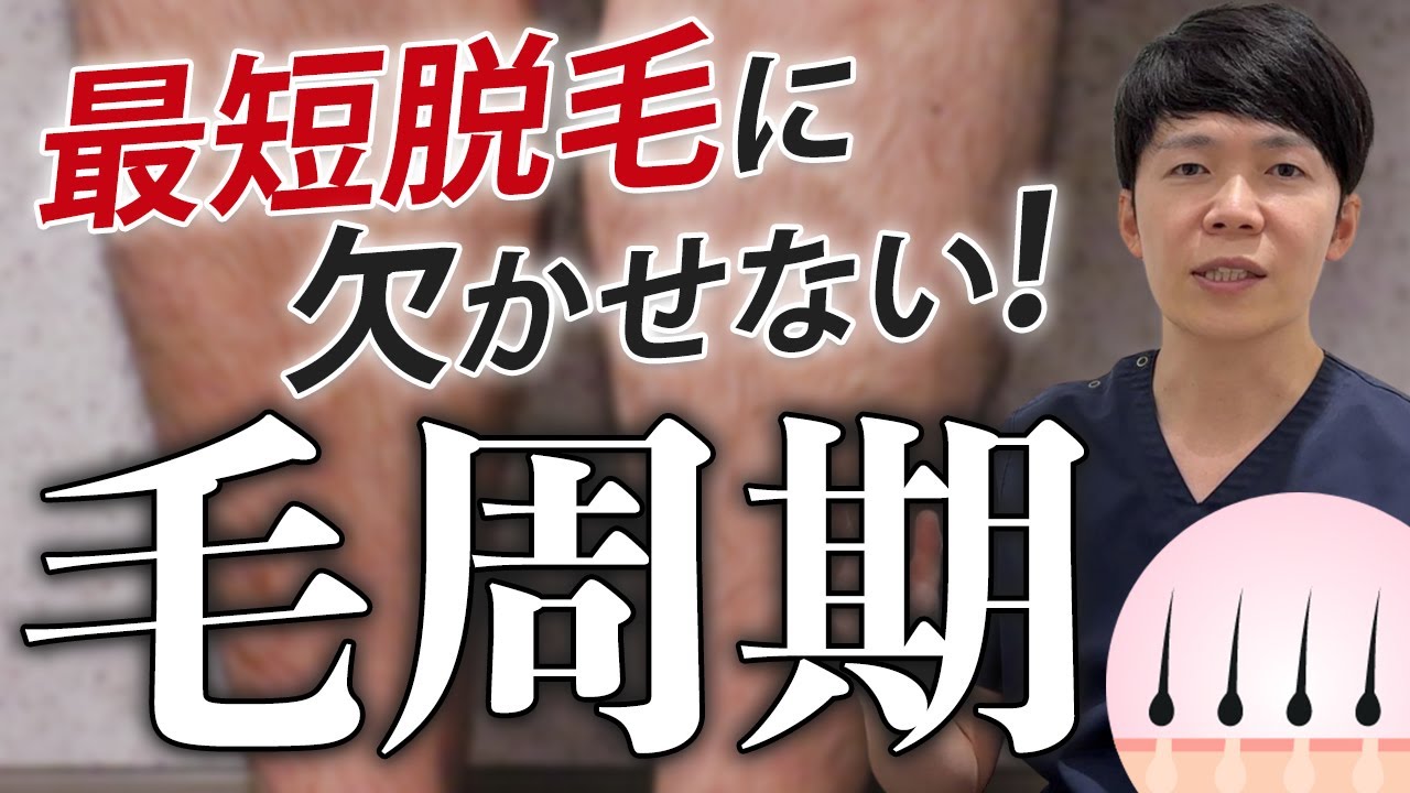 メンズ全身脱毛　脱毛で毛周期を守らないといけない理由！論文データから医師が徹底解説