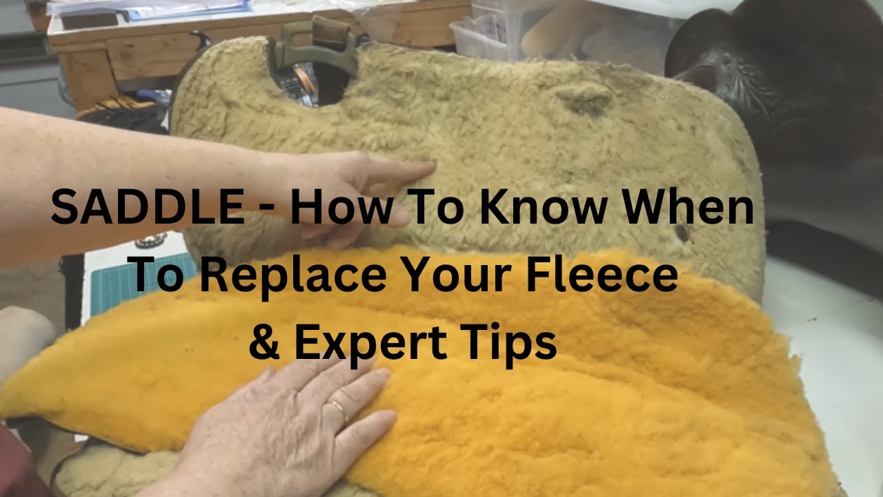 SADDLE REPAIR - Do You Need To Refleece your Western Saddle?