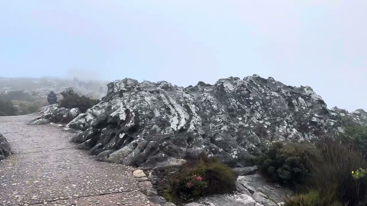 •	“رحلتي إلى كيب تاون 🌍 | أجمل أماكن السياحة في جنوب أفريقيا ، Cape Town | اكتشاف جمال 🇿🇦 