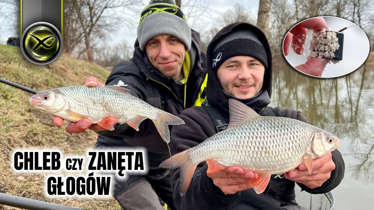 DUŻE PŁOCIE, CHLEB TOSTOWY, GŁOG&Oacute;W | Marcin i Łukasz w PODR&Oacute;ŻY