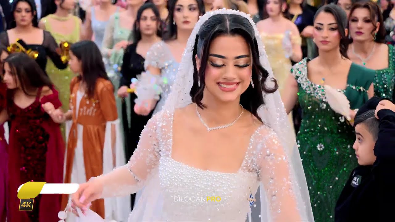 IMAD SELIM /   Peshwar & Evlin  / Part02 / #DilocanPro #Hochzeit #Wedding #Kurdish #Dilocan