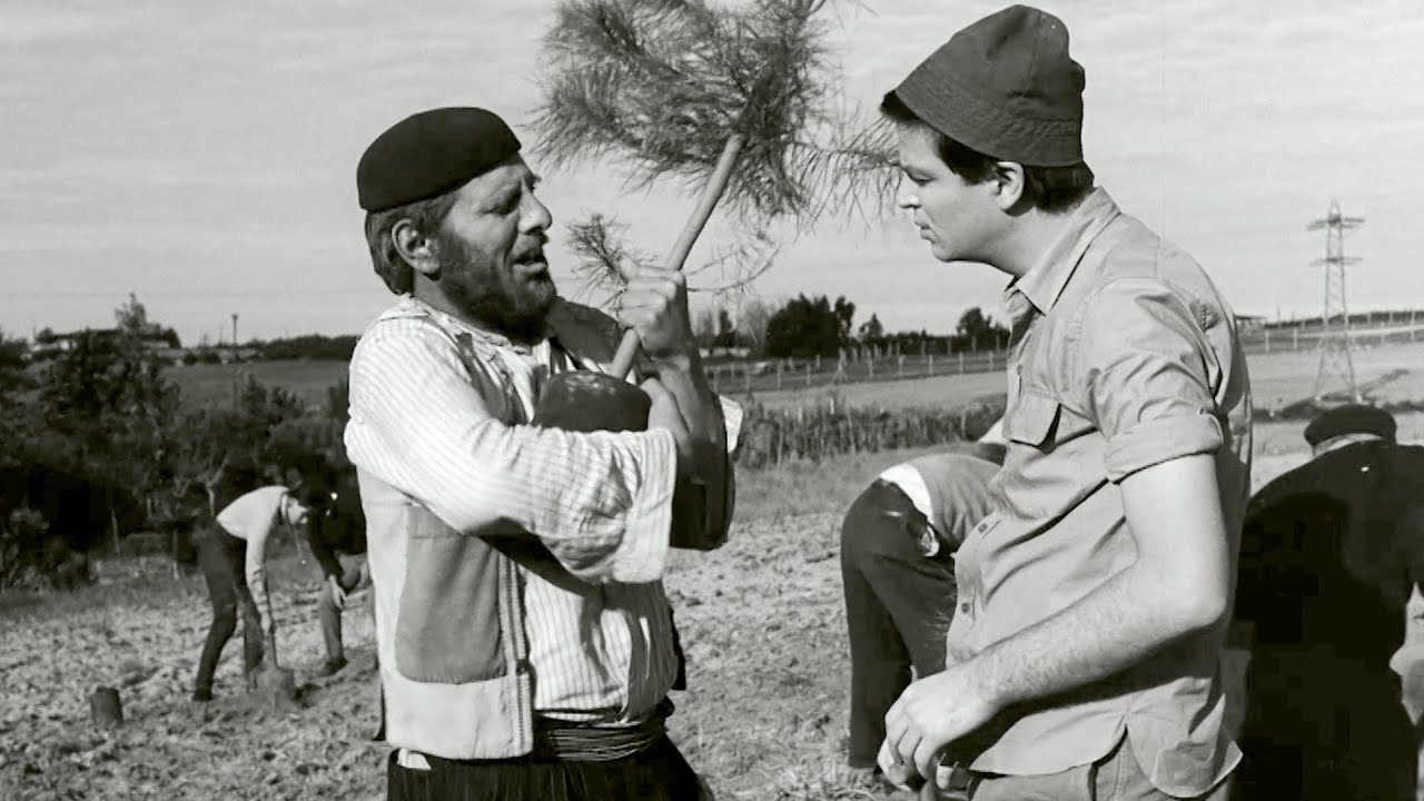 סאלח שבתי - נטיעות