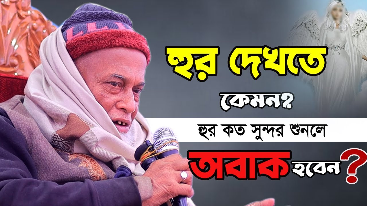 জান্নাতি হুর কত সুন্দর হবে? | স্বপ্নে যা দেখলেন | Allama Nurul Haque Saheb | আল্লামা নুরুল হক সাহেব