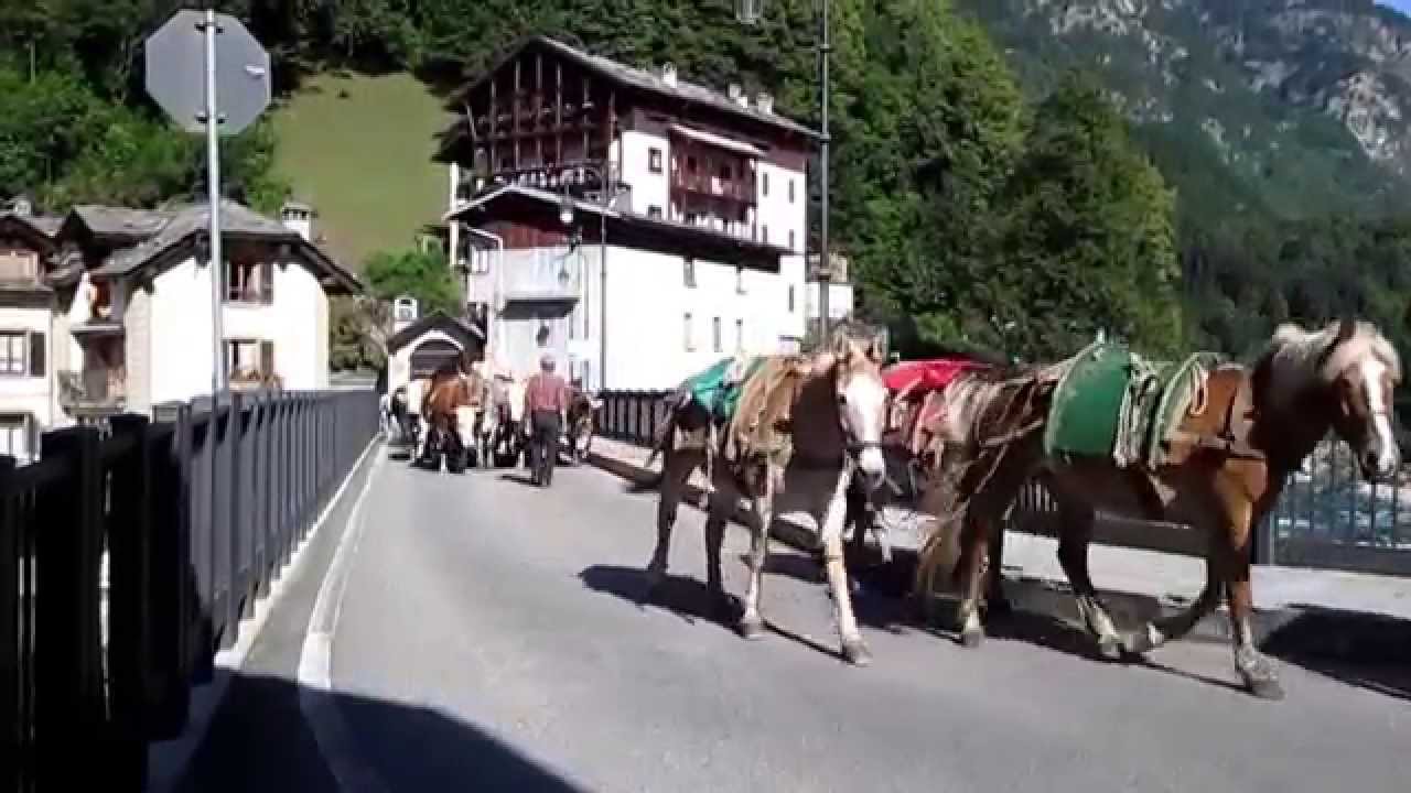 RASSA FRAZ.  FONTANA - TRANSUMANZA 2014