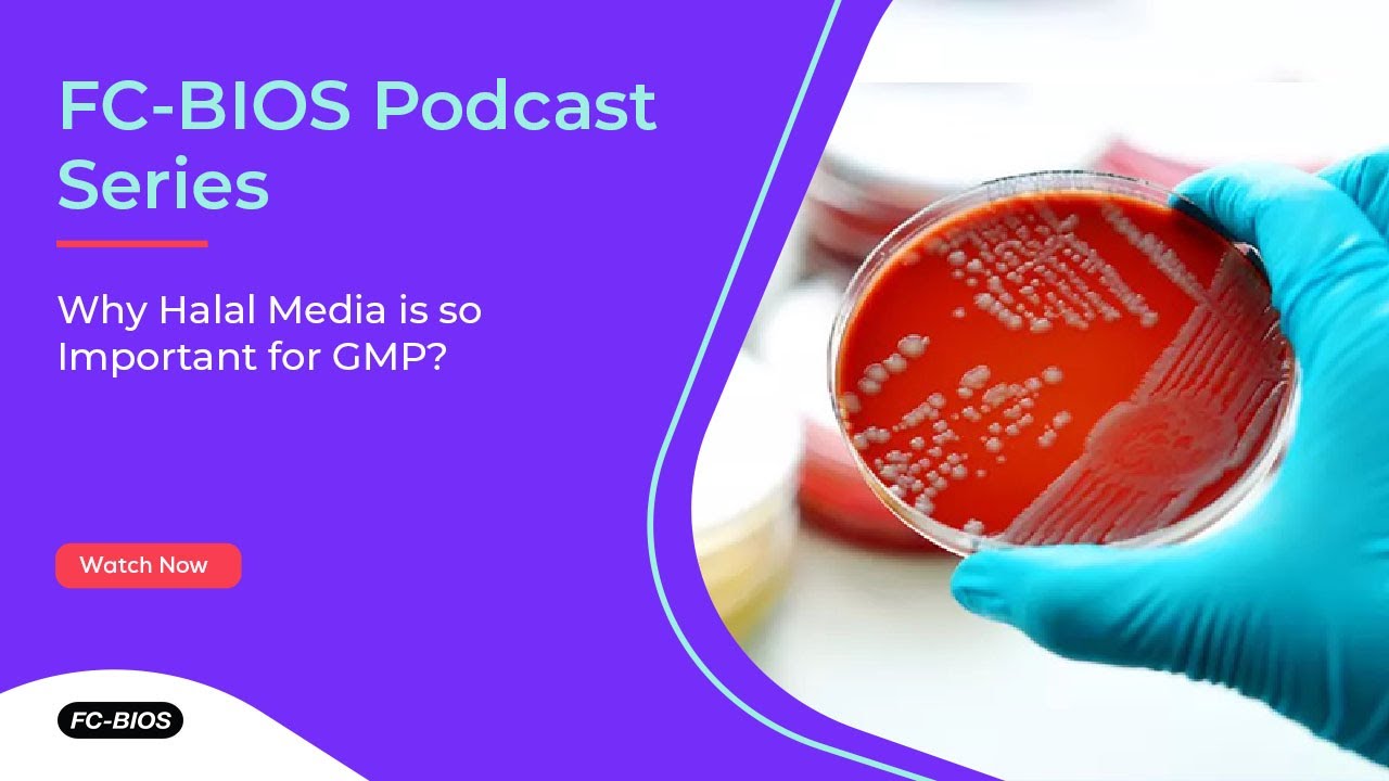 FC-BIOS Podcast Series: Why Halal Media is so Important in GMP?