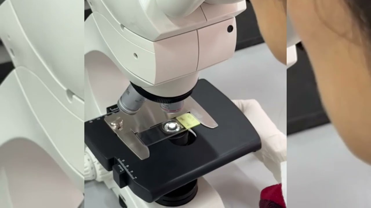 Présentation de la faculté des Sciences Biologiques  كلية العلوم البيولوجيا USTHB