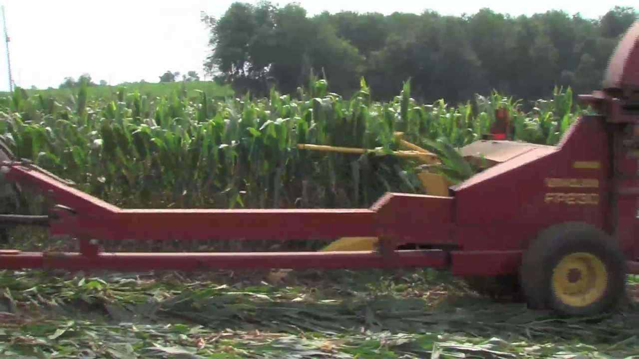 Drought's Affect on Kentucky Beef Producers.mov