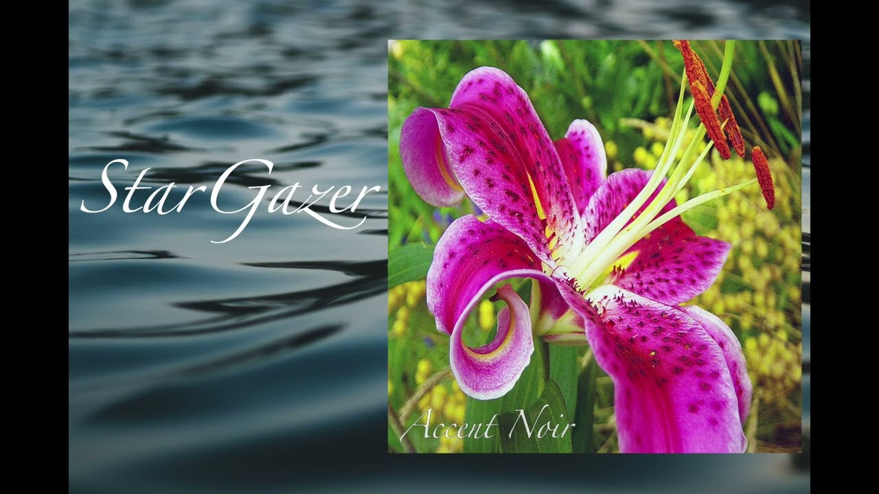 Stargazer - Pure Ambient Vibes