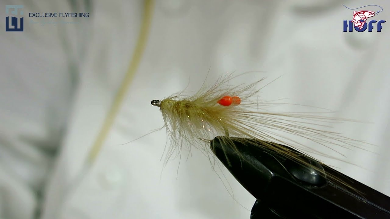CDC shrimp