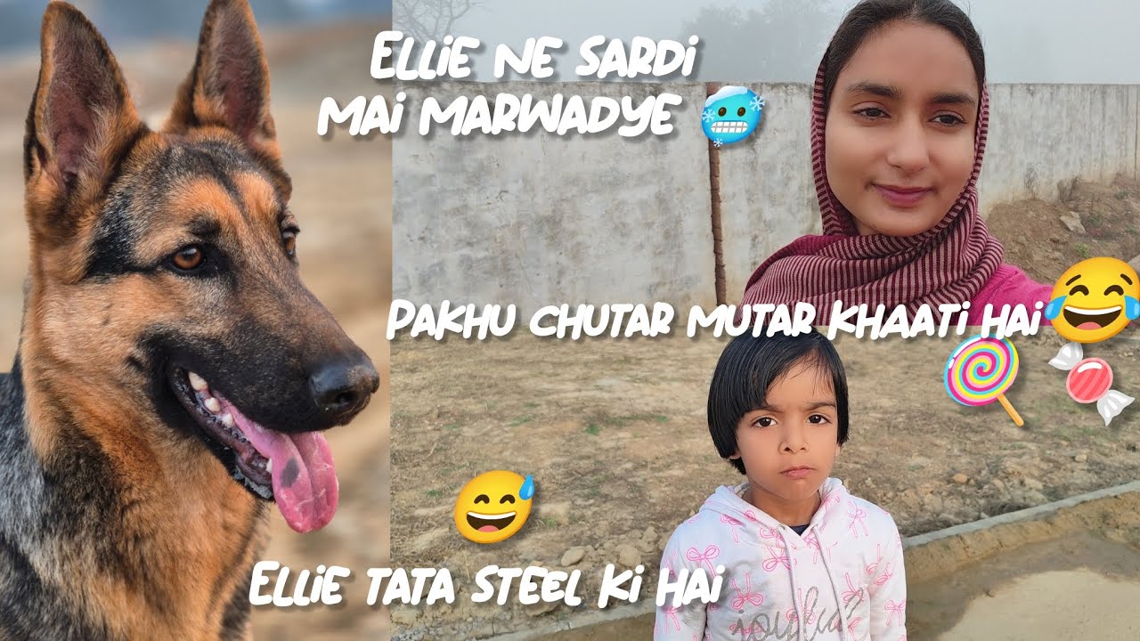 Ellie ne sardi mai marwadya aaj🥶 Pakhu ki chatar patar🍬🍭 ||Nehachaudhary||