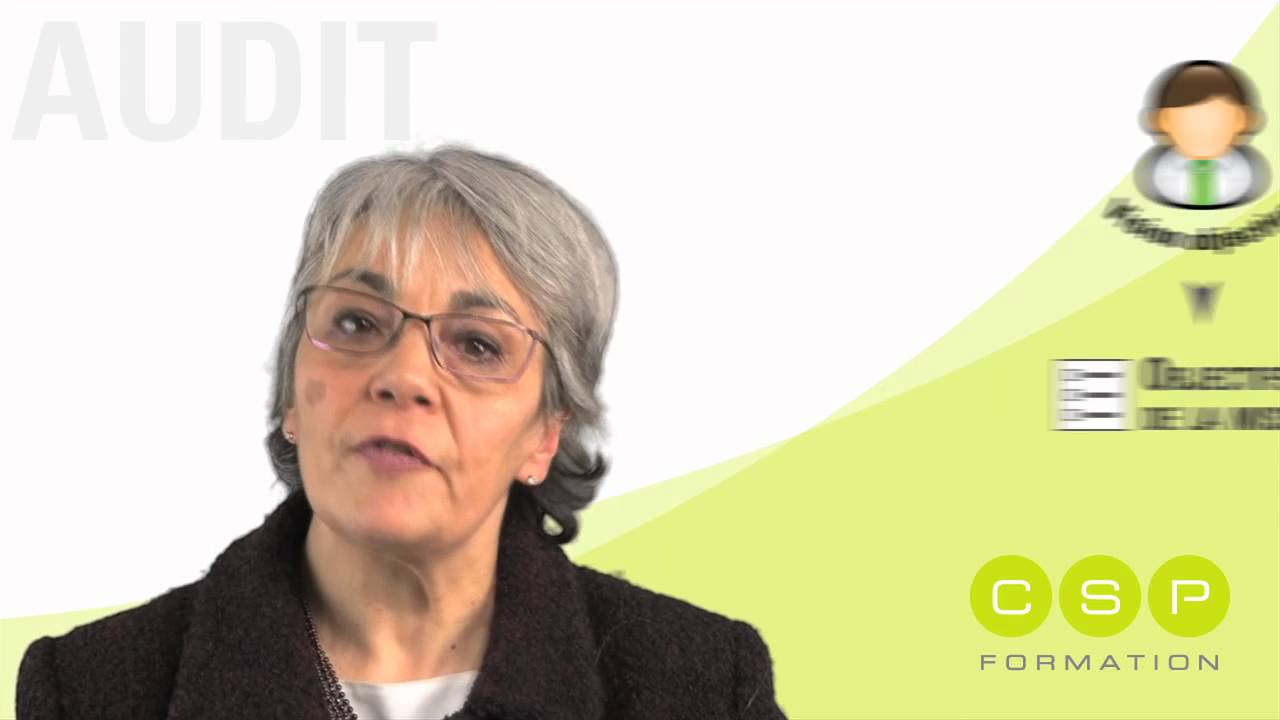 Expliquer ce qu'est un audit - Vidéo Audit 1/12