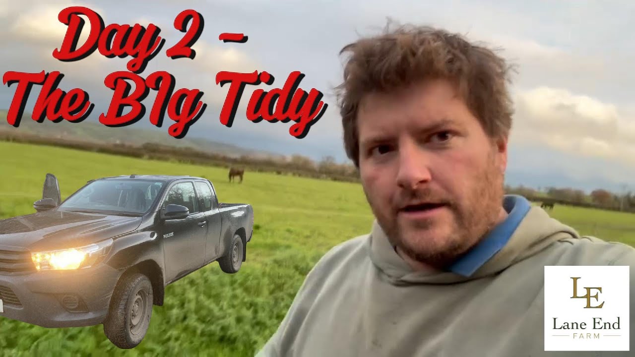 Second Vlog - The Big Tidy