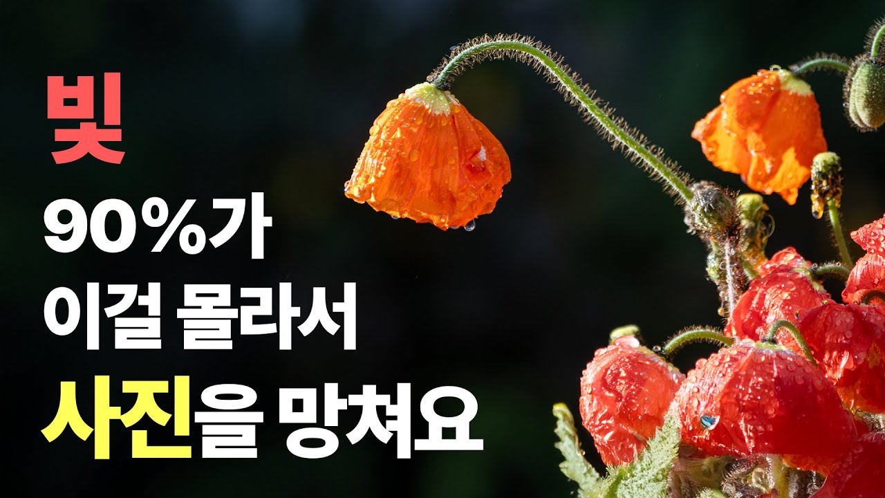 빛의 핵심, 사진이 달라지는데, 대부분 모르거나 활용을 못해요