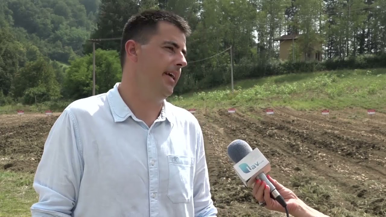 26.08.2022. Dani polja krompira Guča