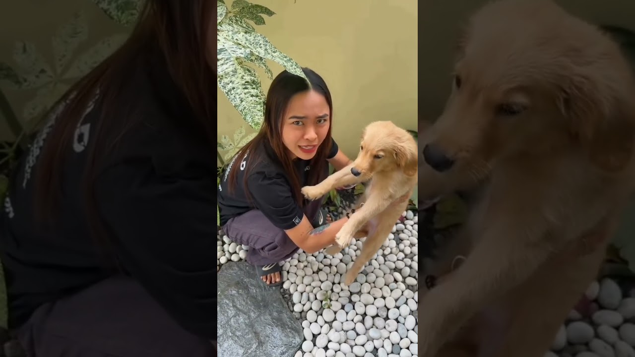 Nasira ang mga halaman sa bahay, pero tuloy pa rin ang pag-aalaga at pag-asa