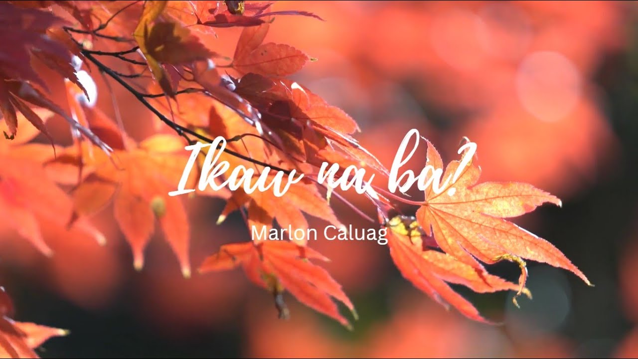 Ikaw na ba