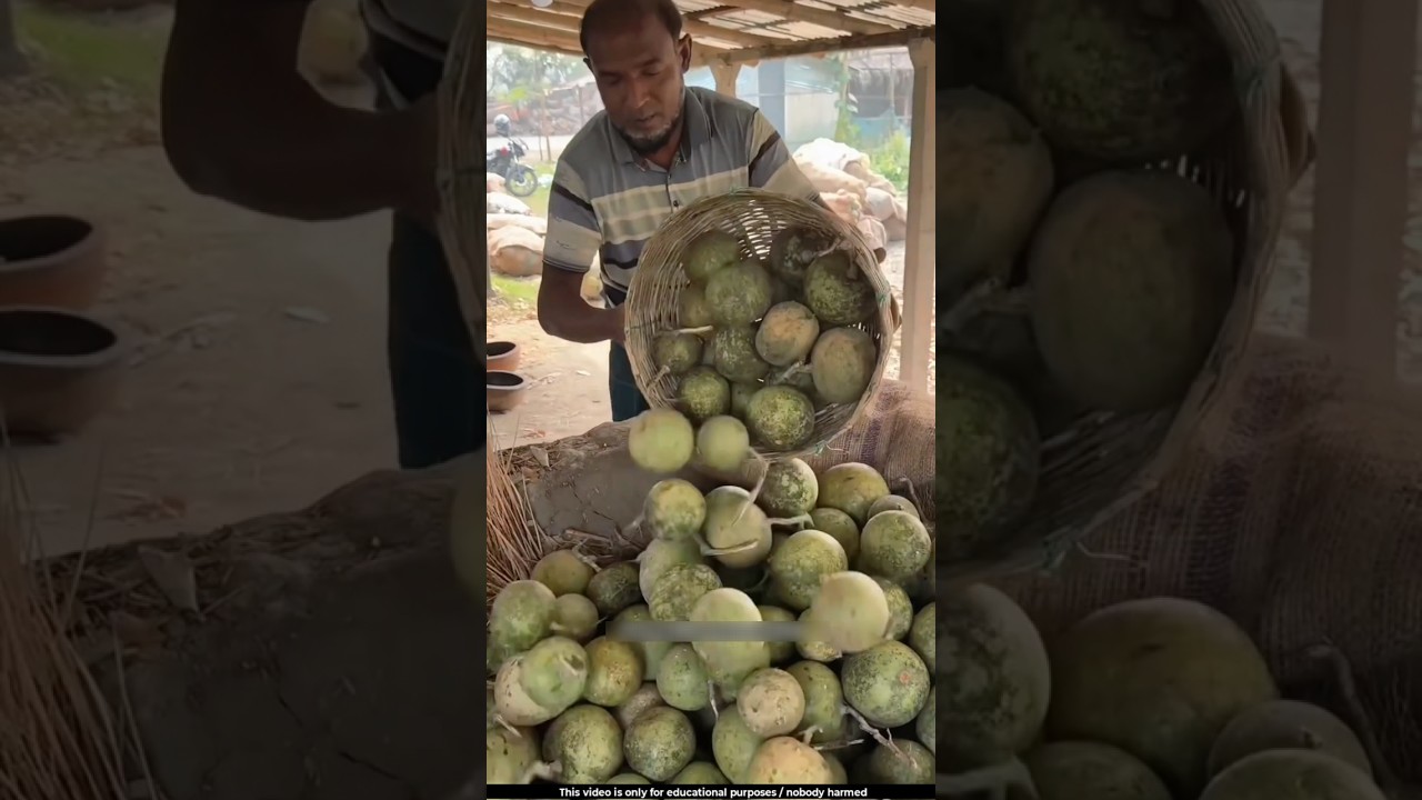 This is a method for ripening unripe fruits 😯l 