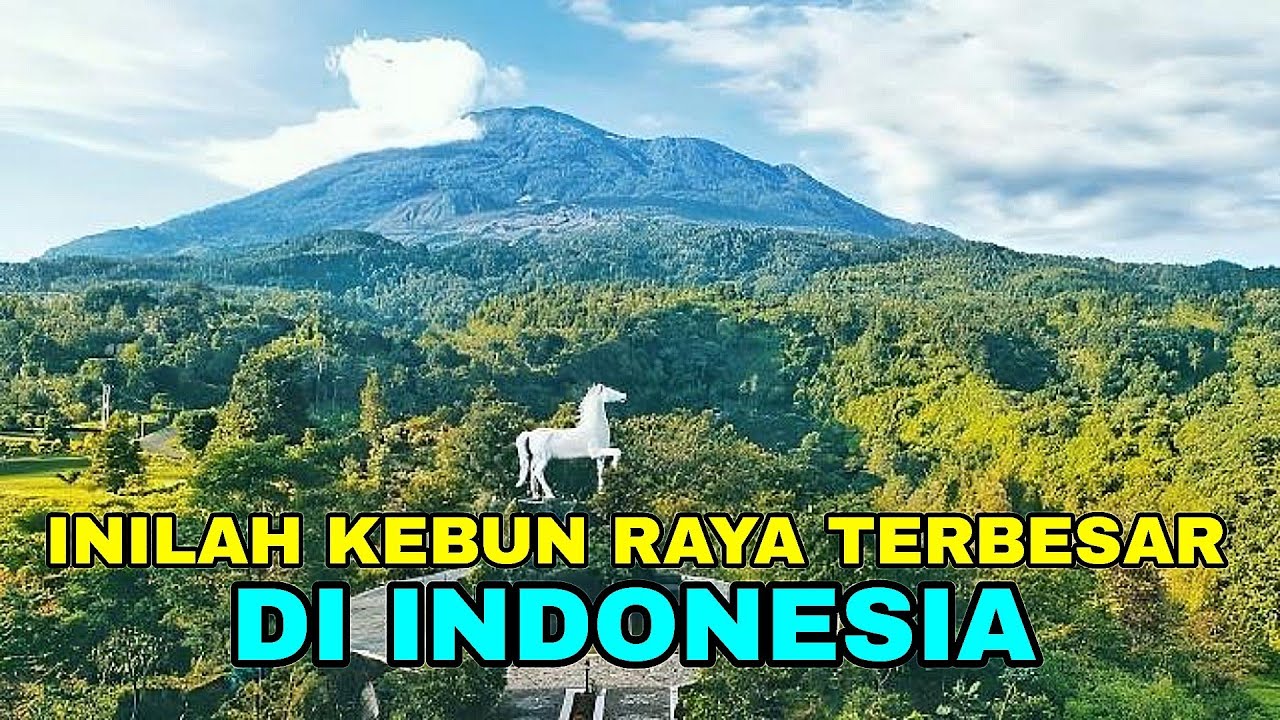 Beginilah Wisata Kebun Raya Terbesar Di Indonesia || Kebun Raya Kuningan